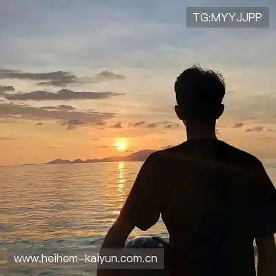 窦芸昀
